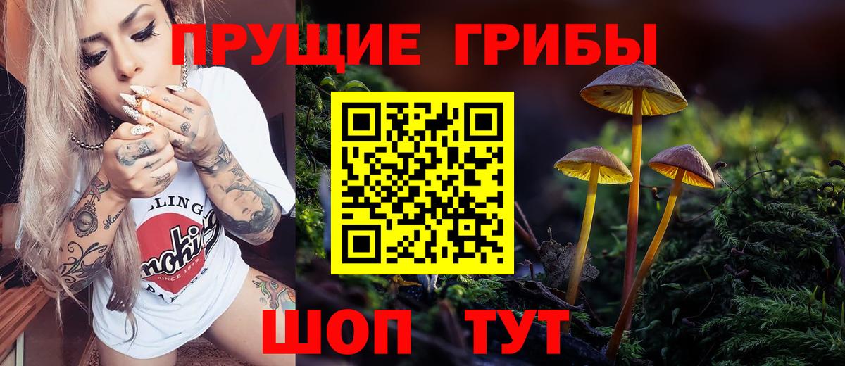 Псилоцибиновые грибы GOLDEN TEACHER Миллерово