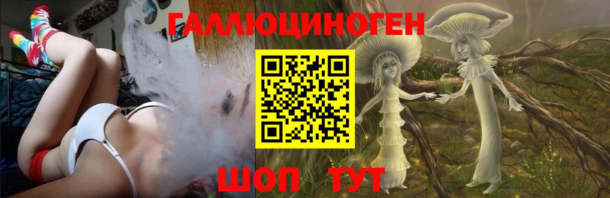 Псилоцибиновые грибы Psilocybine cubensis  Вход с VPN  Миллерово 